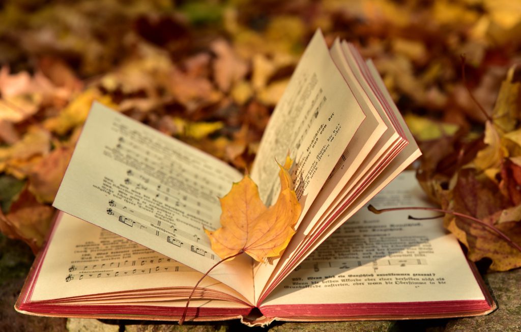 落ち葉のなかに本が風に吹かれて置いてある画像