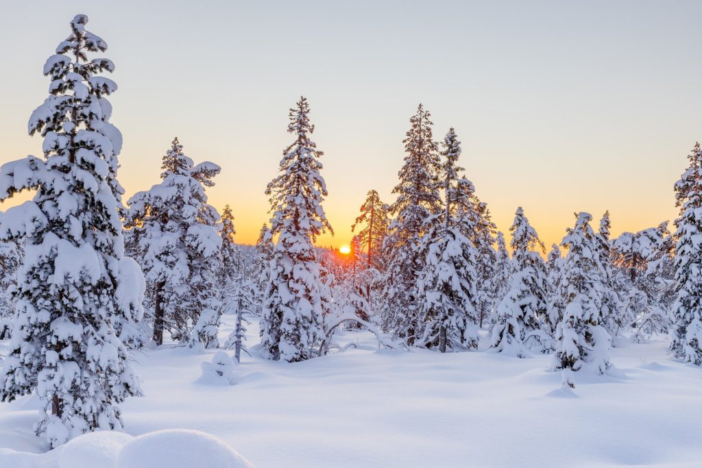 雪原の夕焼けを撮影した画像